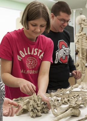 Forensic students studying bones Forensic students studying bones
